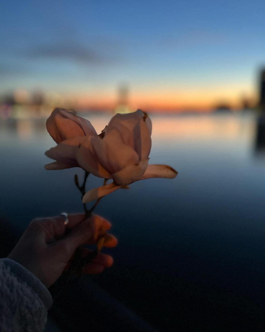 Instagram post from itakhi.digitalatelier. This post is in position 2.