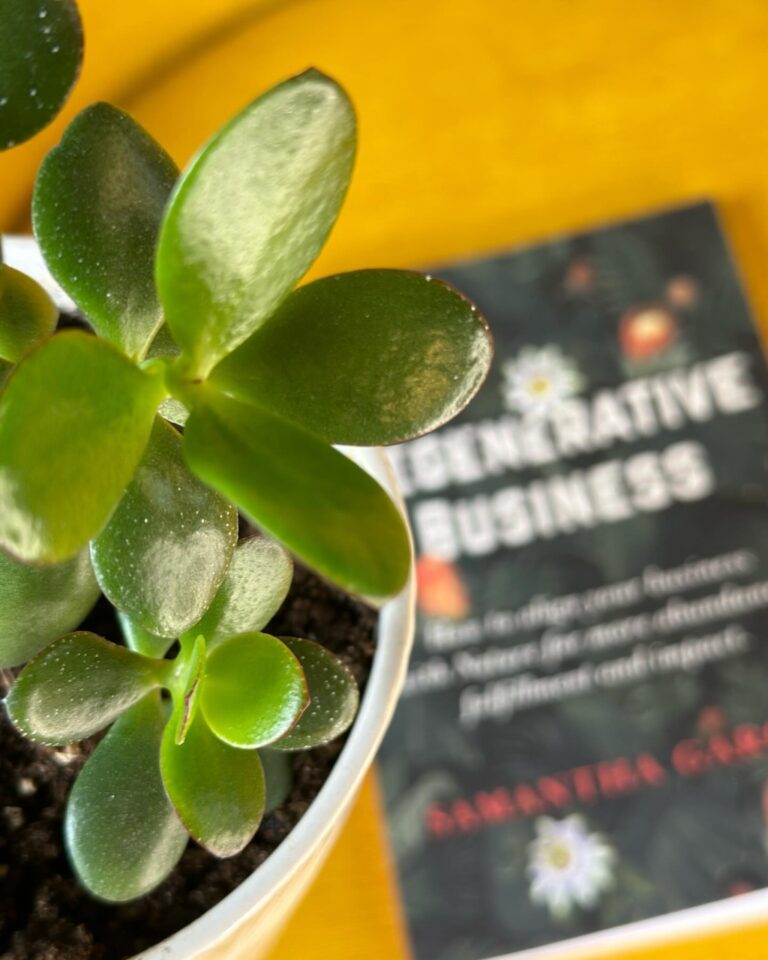 Instagram post from itakhi.digitalatelier. This post is in position 5.