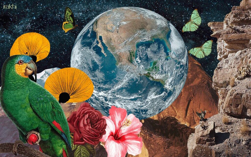 Instagram post from itakhi.digitalatelier. This post is in position 3.